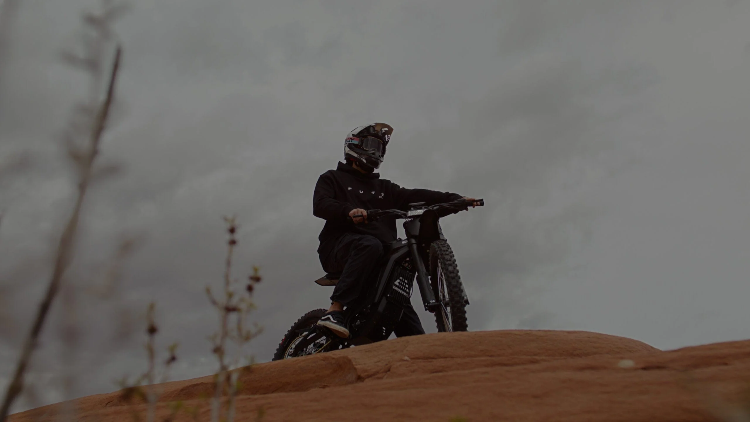 E Ride Pro- 2024 Pro 2.0 SS 19" - Image 7